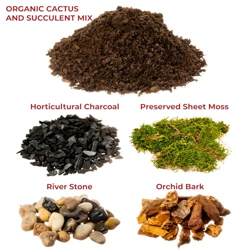 DIY Terrarium Kit for Succulents & Air Plants – Organic Soil Mix, Hoffman Charcoal, Orchid Bark, River Rocks & Preserved Moss – Terrarium Supplies Starter Kit for Fairy Gardens & Mini Terrariums
