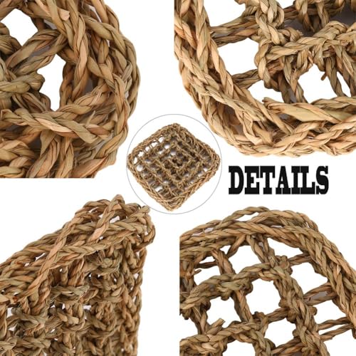 PIVBY Bearded Dragon Hammock(11.02" x 7.87", 2 PC) Reptile Lounger Climbing Toys Seagrass Fiber Habitat Tank Accessories for Chameleon, Lizards, Geckos, Snakes, Lguana, Amphibian Reptiles Habitats - size: 2 PCS