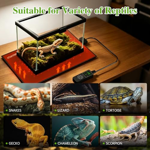 6 by 8-inch 7W Reptile Heating Pad Graphene with Temperature Control Reptile Tank Heat Pad Terrarium Under Tank Heater Mat for Snake Lizard Hermit Crab Reptiles Turtle Thermostat - size: 6"x8" 7W
