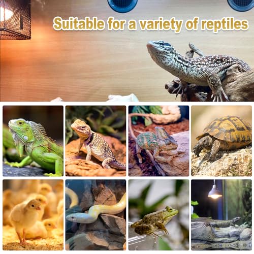 MIXJOY 4Pack Reptile Heat Lamp Bulbs, 100W Heat Lamp Bulbs for Reptiles Basking Bulbs UVA Daylight Basking Light Amphibians Heating Lamp Emitter for Lizard, Tortoise, Bearded Dragon Gecko - style: 4Pack 100W