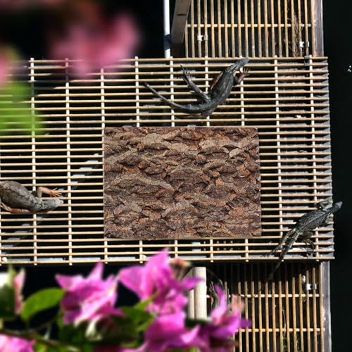 BESPORTBLE 2 Pack Reptile Bark Platform, Natural Tree Bark Climbing Shelf for Lizards, Geckos, Turtles, Snakes and Small Terrarium Pets