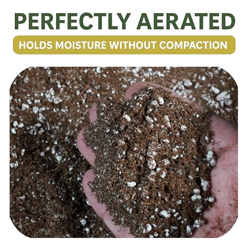 BOG BOSS - Premium Carnivorous Plant Soil Blend | Ideal for Venus Flytraps, Sundews, Nepenthes Pitcher Plants & Butterworts (4 QTS) - size: 4 qt