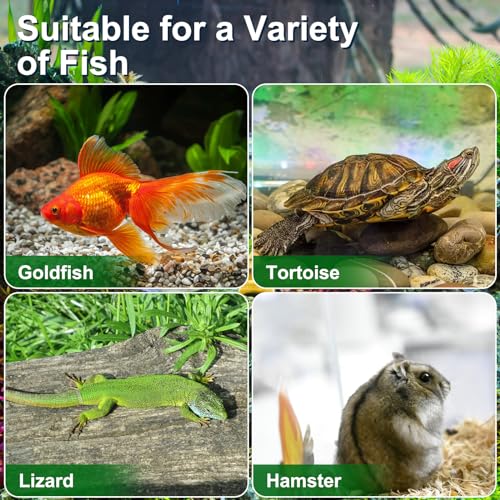 VANZACK 4 Pack Mini Fish Tank, Plastic Reptile Terrarium with Lid and Handle, Portable Plastic Fish Tank and Frog Carrier, Clear Critter Carrier for Small Fish, Turtles, Hamster, Snakes Aquarium
