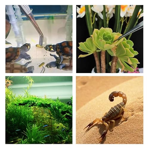 Feeding Tongs 2pcs Stainless Steel Aquarium Long Tweezers 27cm/10.6 inches Straight Curved Tweezers for Fish Tank Aquatic Plants Reptile Lizard Gecko Snake Spider Bird