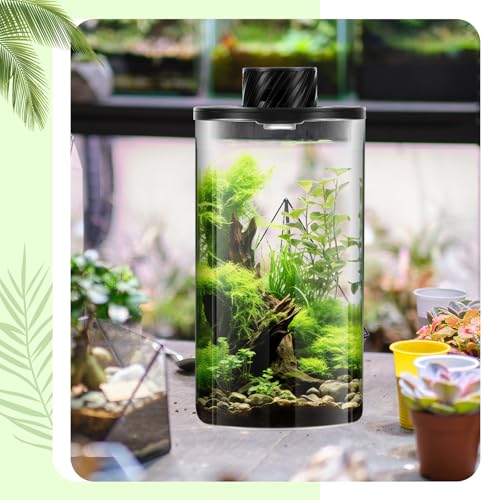 Maxdot Glass Plant Terrarium Kit with LED Grow Light, Desk Terrarium for Venus Fly Trap, Succulents, Moss & Miniature Garden, Borosilicate Glass Desktop Planter for Home Office(7.9 x 3.9 Inch) - size: 7.9 x 3.9 Inch