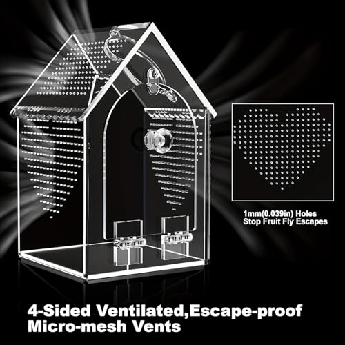 Clear Acrylic Reptiles Terrarium Breading Box with Removable Top Lid Ventilation Hole 12x12x20cm for Science Experiment Clear Herpeton Enclosure