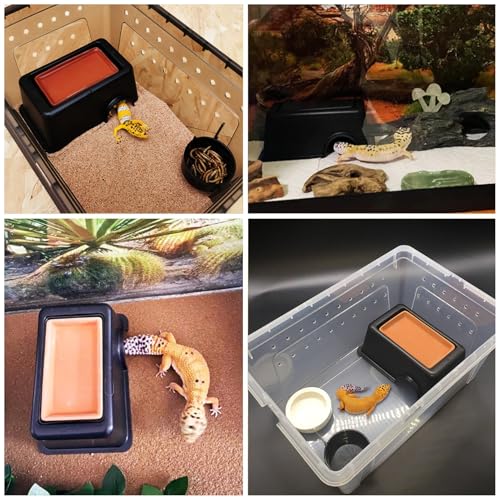 Hamiledyi 2PCS Reptile Feeding Box Snake Breeding Box Transparent Animal Habitat Cage and 4 Pcs Humid Hide for Leopard Gecko Moist Reptile Hide Box for Young Lizard Shedding