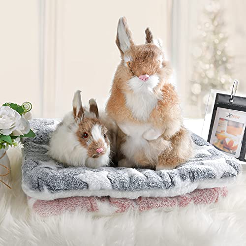 Small Animal Bed Mat, Soft & Warm, Suitable for Guinea Pig, Hamster, Rabbit, Rat and Bearded Dragon (X-Large(13.3''x9.4''), Heart Brown) - color: Heart Brown, size: X-Large(13.3''x9.4'')