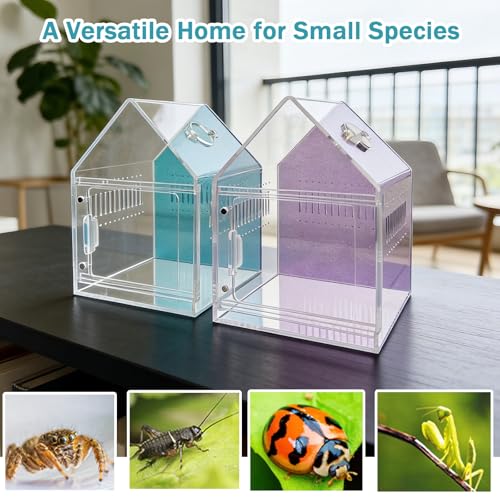 Magnetic Acrylic Spider Enclosure 5.3x5.3x7.3 Inch, House Shape Terrarium with Blue or Purple Background for Jumping Spiders, Tarantula Slings & Mantis, Escape-Proof Habitat (Blue)
