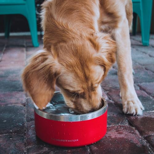 Coldest Dog Bowl - Anti Rust Metal, Non Slip, 3 Layers Insulated Stainless Steel Dog Bowls - Spill Proof & Heavy Duty - Water Bowl for Dogs, Cats & Pets, Dish Washer Safe (21 oz, Stardust Glitter) - color: Stardust Glitter, size: 21 oz