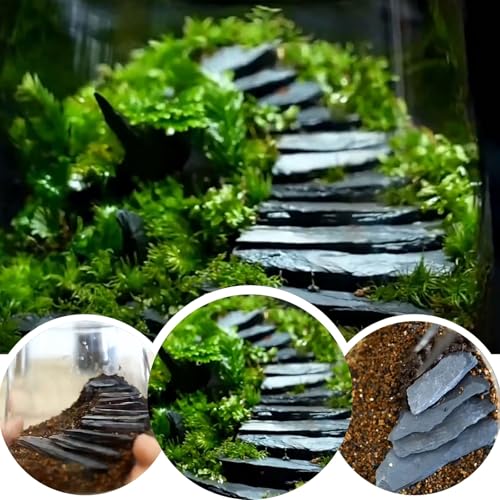Fish Tank Rock Natural Slate Rocks 2 to 8 inch Aquariums Stone for Aquascaping,Terrariums, Reptile Enclosures,Paludariums,and Gardens-20lb - size: 20lb(2-8'')