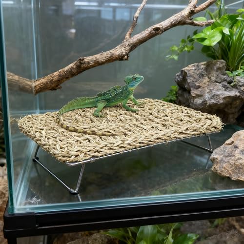 Large Bearded Dragon Tank Accessories13 x7.4"x3" + Humidity Meter Set Rectangle Lizard Bed with Metal Legs Grass Weaving Hammock for Turtle Snake Hermit Crab Frog (Straw Weaving, Rectangle)