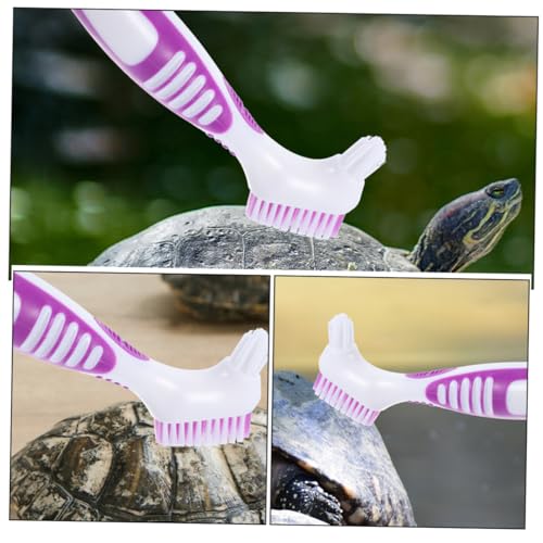 GANAZONO 3pcs Turtle Shell Cleaning Brush Double-Sided Mud for Tortoise and Aquatic Turtles Ergonomic Handle Shell Maintenance Tool - color: Violet