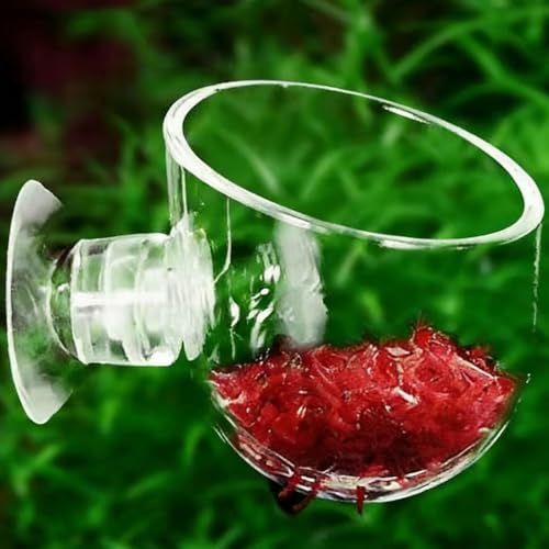 Floating Shrimp Bowl, Aquarium Feeding Tray with Suction Cup, Fish Food Cup Accessory, Reptile and Aquatic Pet Feeder, Tank Tortoise Gecko Bearded Dragon Betta Turtle Shrimp Crab Frog Snake Spider - size: Large