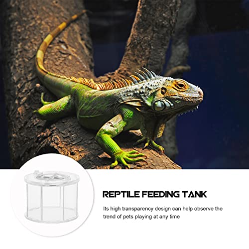 Box Insect Display Containers Reptiles Breeding Container Pet Supply Reptile -Escape Case Showing Case Clear Habitat Crawling Pet Holder Breeding Cage