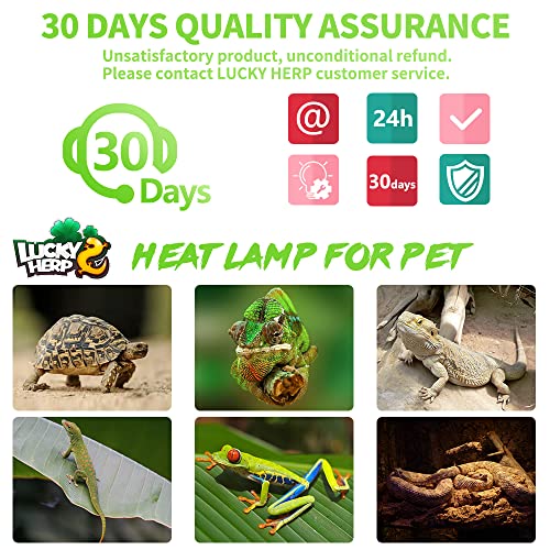 LUCKY HERP 2 Pack 50W Reptile Heat Lamp Bulb (2nd Gen), Amphibian Basking Light Bulb, Reptile Daylight Bulb for Turtle, Bearded Dragon, Lizard Heating Use - color: 2nd Gen 50w Heat Lamp, size: 2nd Gen Reptile Heat Lamp
