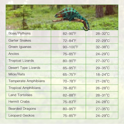 iPower 8 by 12-Inch 16 Watts Reptile Heating Mat with Temperature Controller Under Tank Warmer Terrarium Heat Pad for Reptiles and Amphibians, Black - size: 8 X 12 Inch, style: 1 Pack with Adjustable Knob