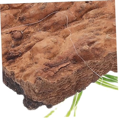 20pcs Natural Cork Bark for Reptile Tank Terrarium Background Decay-Resistant Climbing Bark Maintenance Friendly Hide for Lizards Turtles Snakes Aquarium Decor