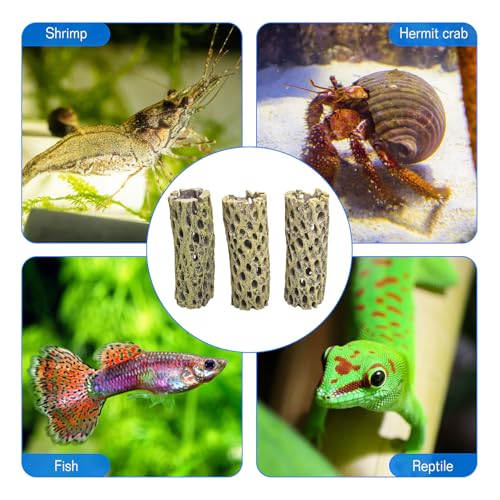 kathson Resin Cholla Wood Aquarium Shrimp Hideout Fake Fish Tank Hollow Log Hideawy Reptile Climbing Corner Branch Hermit Crab Terrarium Ornament Decoration (3 Packs)