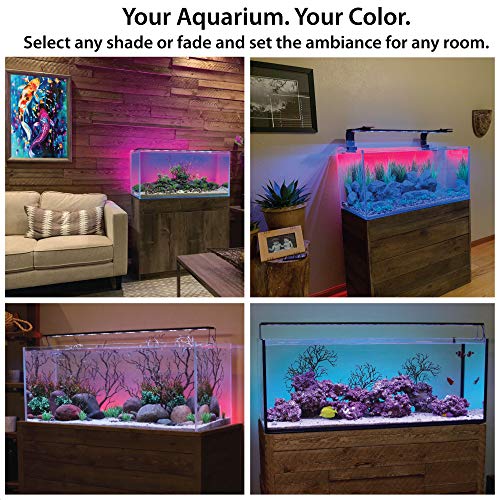 ColorCast Aquarium Background LED Light Kit with Frosted Background Film | Smartphone and Voice Control | 24/7 Timers | Alexa and Google Home | for Aquariums, Terrariums and Vivariums | 32"-48" - size: 32" | 32" to 48"