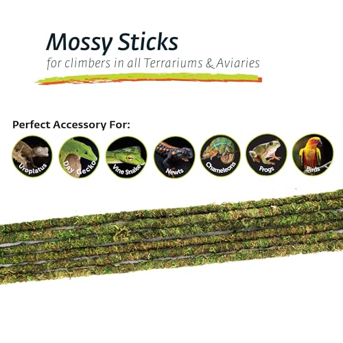 Galápagos (05322) Mossy Terrarium Sticks (6 Pack), 32" - size: 32"
