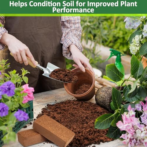 Legigo 2 Pack Premium Coco Coir Brick for Plants- 100% Organic Compressed Coconut Coir Bricks Starting Mix, Coco Coir Fiber Coconut Husk for Planting, Gardening, Potting Soil Substrate, Herbs - color: Pack of 2