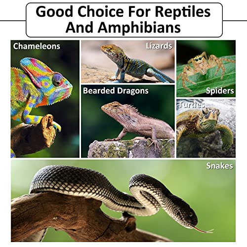 Hamiledyi Reptile Plants Bendable Jungle Climbing Vine Terrarium Branch and Reptile Bark Bedding Tortoise Habitat Substrate Natural Terrarium Bark Wood Chips