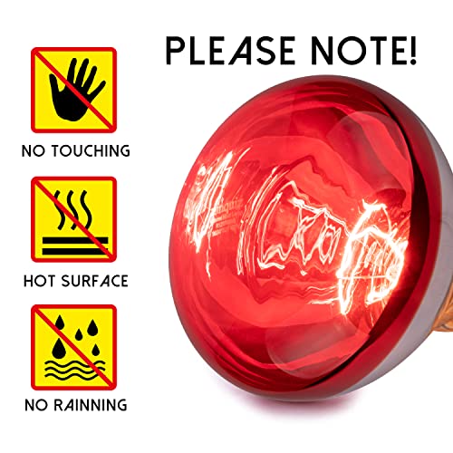 250 Watt Heat Lamp Bulbs for Chicks, R40 Brooder Heat Lamp for Chickens, Infrared Reflector Heat Bulbs for Brooder Heater, Incandescent Spotlight for Pet, Bathroom, Food (2 Pack)