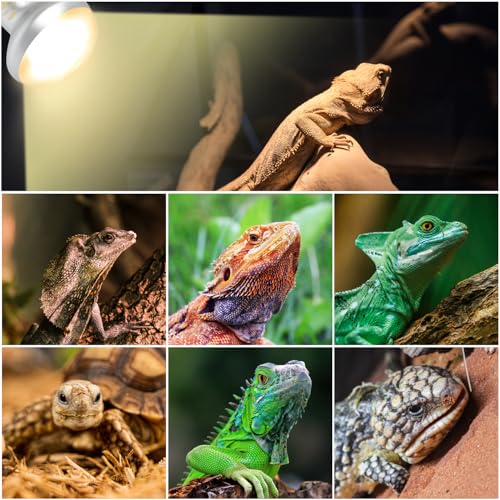 Reptile Heat Lamp Blub Combo Pack, Dual Reptile Lamp Fixture with Intense Basking Spot Light UVA Daylight Reptile Heat Lamp & 26W Energy Saving UVA 10.0 UVB Bulb Spiral Compact Bulb