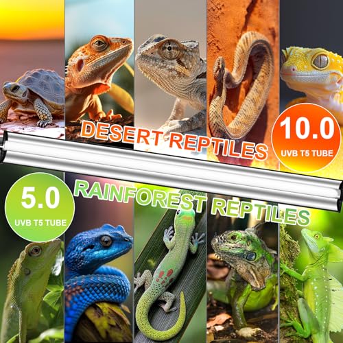 24W T5 UVB Reptile Light Fixture Combo Kit – 10.0 UVB Fluorescent Tube for Bearded Dragons, Lizards & Tortoises – UVA UVB Reptile Light, 22" Terrarium Hood (UVB 10.0-Desert, 22INCH-24W) - size: 24W-22 Inch-T5 Fixture