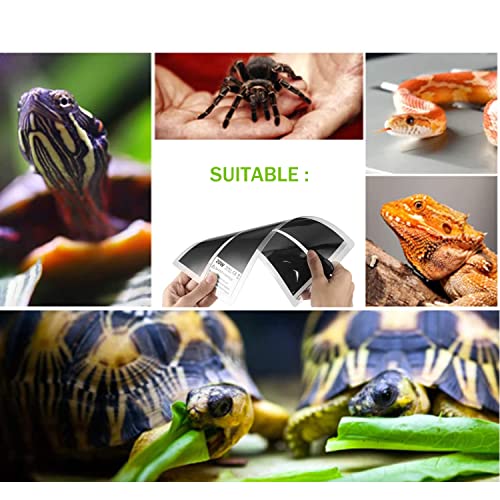 Reptile Heating Mat with Temperature Adjustment, Waterproof Reptile Heat Pad Under Tank Terrarium Heater for Amphibians, Small Animals, Seeding (7W 11 x 5.9 in) - color: 7W - 11x5.9 IN