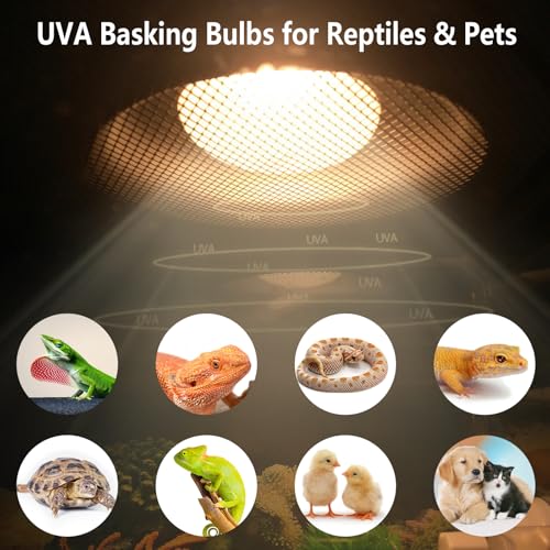 Pack of 2 Reptile Basking Light Bulbs - Incandescent 100W Simulated Sunlight UVA Heat Bulbs for Bearded Dragons, Geckos, Iguanas, Lizards, Amphibians & Small Pets - color: Uva Bulbs (2pcs), size: 100W