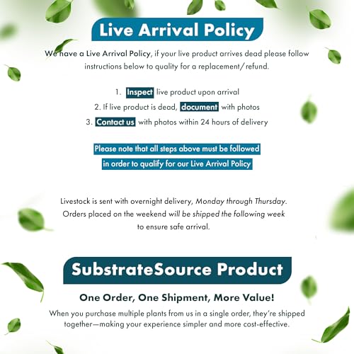 SubstrateSource Live Aquarium Plants on Driftwood, Lava Rock, Moss, Fiber Mat - Freshwater Fish Tanks - Easy, Beginner Friendly (Mini Pellia on Stainless Steel Mesh, (1 Pack)) - color: Mini Pellia - Stainless Steel, size: 1 Pack