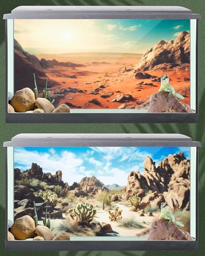 Breling 4 Pcs 48 x 24 Inch Reptile Habitat Background with Nano Glue Gobi Sun Cactus Stone and Green Tree Fern Stream Terrarium Background Polyester Durable Aquarium Accessories - color: Style1, size: 24 x 48 Inch