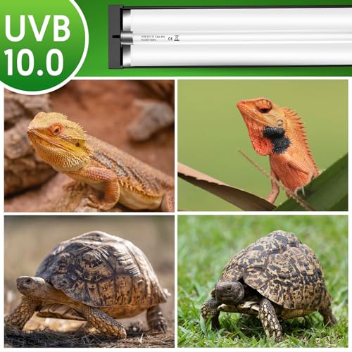 QZQ T5 UVB Reptile Light Fixture Combo Kit 8W, 10.0 UVB Light for Reptiles, Terrarium Hood Comes with Desert UVB Lamp for Bearded Dragon, Gecko, Tortoise, Lizard - size: 8W-10.0-12.4IN