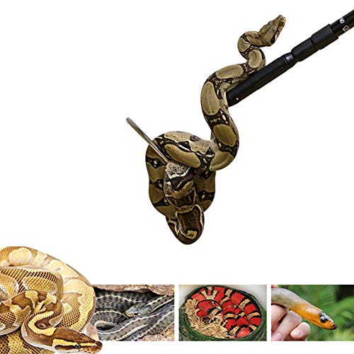 Extendable Snake Hook Reptile Corn Snake Ball Python Rattlesnake Handling Tool for Catching,Controlling,Or Moving Snakes, Material Tool(53inch and 25inch)