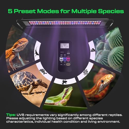 8-Inch UVB Reptile Light, Dimming UVB UVA Reptiles Strip Lamp, Remote Control with 24/7 Timer, UVB Strip Lights for Bearded Dragon Leopard Gecko Tortoise Frog Snake Plant - size: 8 INCH