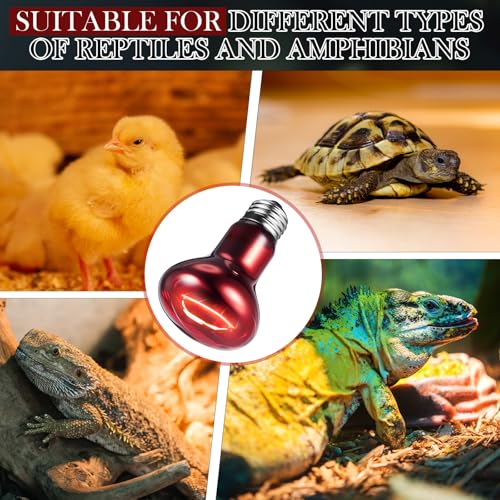 VIHOSE 6 Pack 100 W Reptile Heat Bulbs Red Heat Lamp Bulb Infrared Lamp Red Basking Light Bulbs for Reptiles, Bearded Dragon, Lizard, Tortoise, Chickens, Leopard Gecko, Amphibian, Pets - color: Infrared
