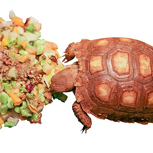 Instant Meal Tortoise Bulk 7.7 OZ - size: 7.7 Ounce (Pack of 1)