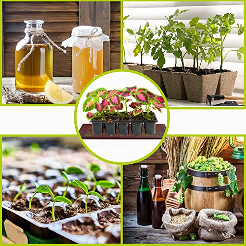 2 Pack Seedling Heat Mat 10X20.75`` with Thermostat Durable Waterproof Warm Hydroponic Plant Heating Pad with Temperature Control Auto Off Timer for Seed Starting Germination Plant Propagation