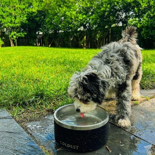 Coldest Dog Bowl - Anti Rust Metal, Non Slip, 3 Layers Insulated Stainless Steel Dog Bowls - Spill Proof & Heavy Duty - Water Bowl for Dogs, Cats & Pets, Dish Washer Safe (100 oz, Celestial Blue) - color: Celestial Blue, size: 100 oz