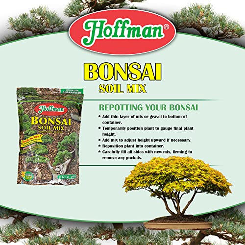 Hoffman Ready to Use Bonsai Soil Potting Mix to Provide Proper Support, Moisture, and Drainage, 2qt Bag, 2 Pack - size: 2 quarts