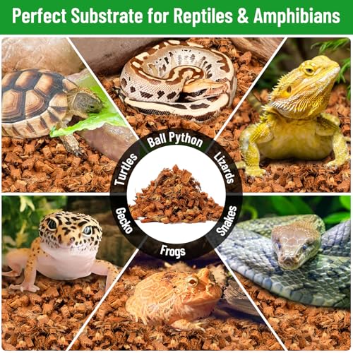 Riare 4 Pack Natural Coconut Chip Substrate for Reptiles- Compressed Coconut Husk Reptiles Bedding, Coco Husk Chip Terrarium Substrate for Snakes, Tortoises, Ball Python, Frogs, Bearded Dragon, Lizard - color: 4 pack