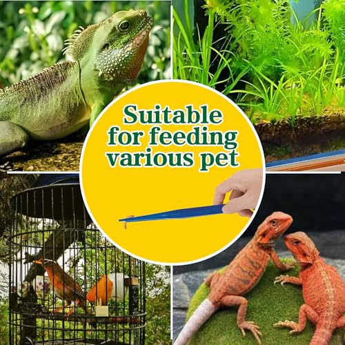 5-Pack Reptile Feeding Tongs Set - Hygienic Anti-Slip Blue Tweezers for Bearded Dragons, Lizards, Snakes, Aquariums & Small Animals(Five colors to choose from) - color: Blue