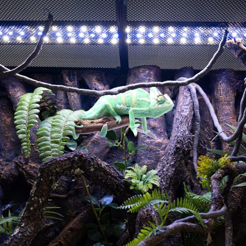 REPTI ZOO UVB Reptile Light with Dimming | 28 inch UVB LED Light Bulb for Reptile | 12W 10.0 UVB Lamp for Bearded Dragon Gecko Chameleon Frog | Reptile Light Bar Fixture with Controller - size: 24 inch