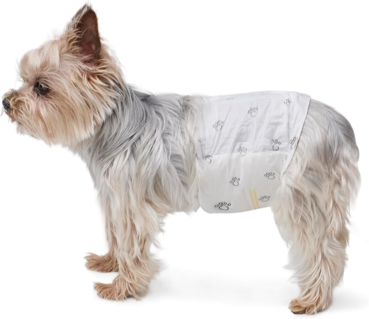 Amazon Basics Absorbent, Leakproof Male Dog Wrap Disposable Diapers with Wetness Indicator, Breathable, Small, White, 50-Pack