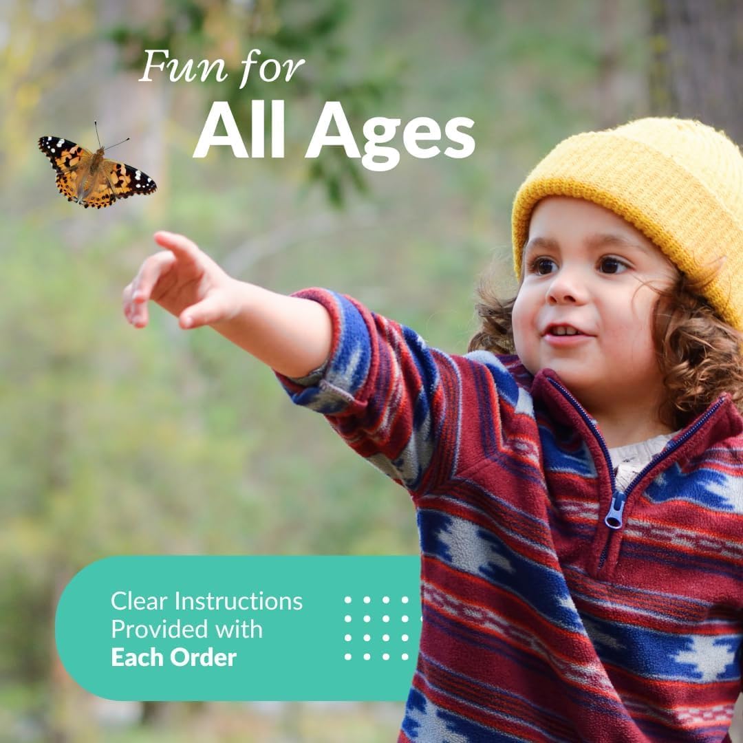 Clearwater Butterfly Painted Lady Caterpillars kit for students STEM learning with food and care instructions