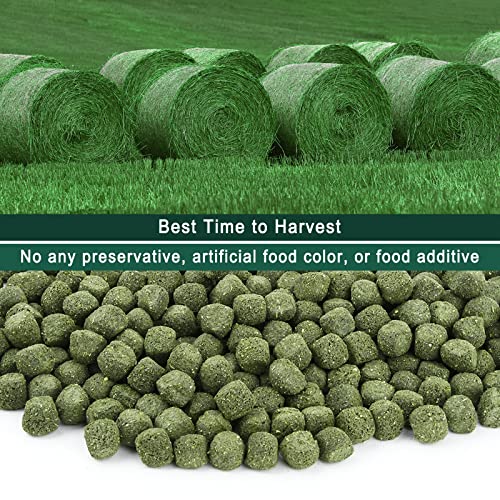 Timothy Hay Cubes 90 oz (9 * 10 oz) with Small Size - Timothy Grass Pellets for Tortoises Rabbits Guinea Pig Chinchilla | Small size timothy grass pellets, suitable for tortoises, rabbits, guinea pigs, chinchillas - size: 5.63 Pound (Pack of 1)