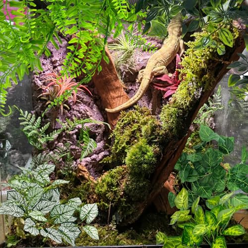 Hamiledyi 5 Pcs Reptile Plants Terrarium Hanging Fake Plant Leaves, Bearded Dragon Tank Accessories, Habitat Decor for Snake Leopard Gecko Lizard Chameleon Spider Turtle (Style 2) - size: 5 PCS - Style 2