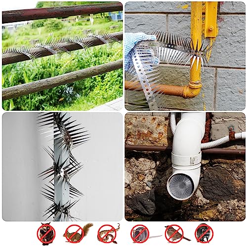 Bird Spikes - Stainless Steel Fence Spikes for Pigeons, Raccoons, Snakes - Deterrent Defender (250inch) - style: 250inch